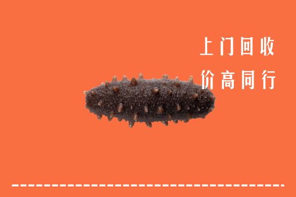 收购行情：扬州回收海参