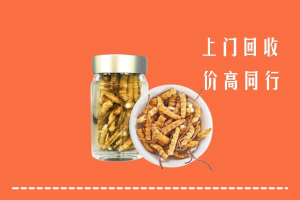 高价求购：扬州回收冬虫夏草